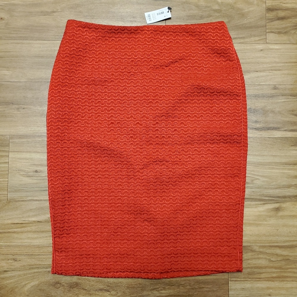 NWT Pencil Skirt | The Limited